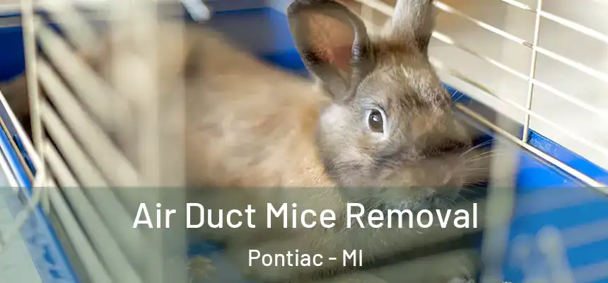  Air Duct Mice Removal Pontiac - MI