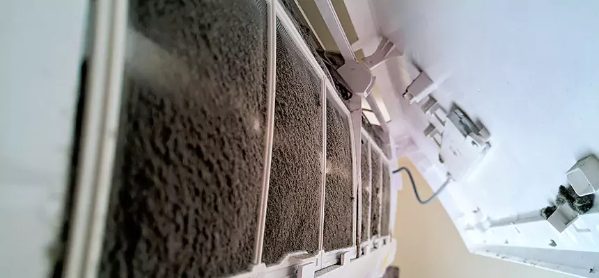 Preventive Air Duct Bacteria Removal in Pontiac