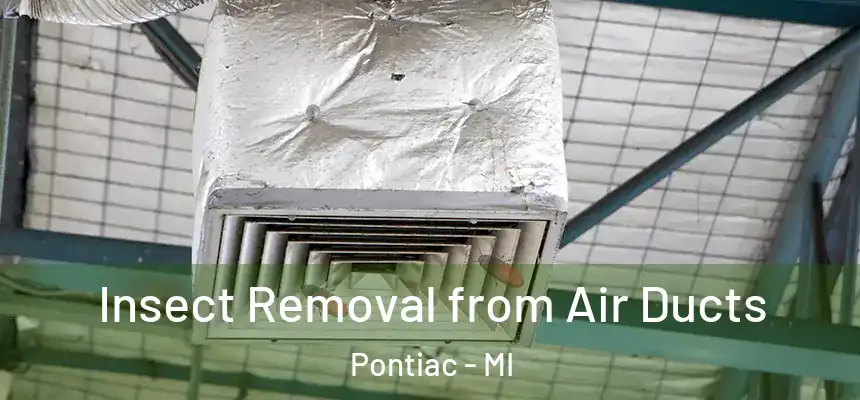  Insect Removal from Air Ducts Pontiac - MI