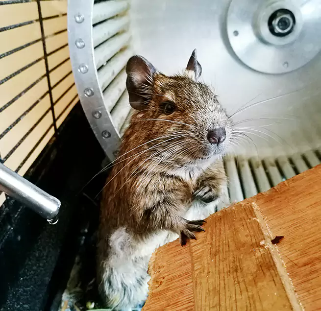 Why Homeowners & Businesses Trust Us Pontiac, MI